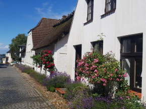 Fischerstern Maasholm